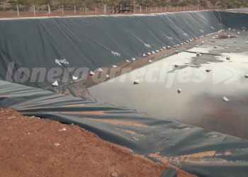 Geotextiles